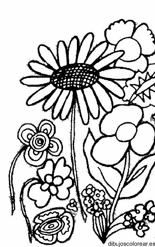 Dibujo de rosas y margaritas