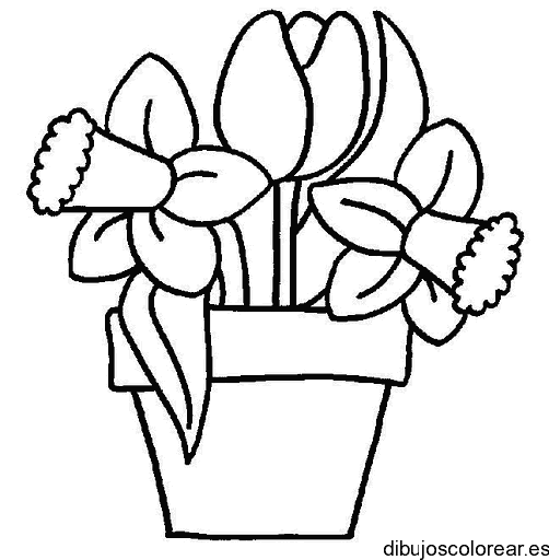 Dibujo de un macetero con dos tulipanes
