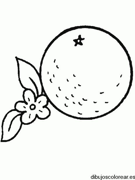 Dibujo de un fruto de naranja