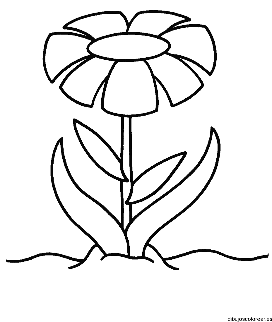 Dibujo de un solo girasol