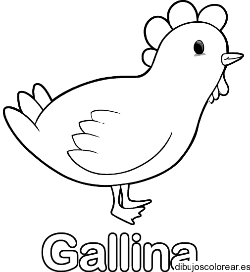 Dibujo de gallina con la palabra gallina