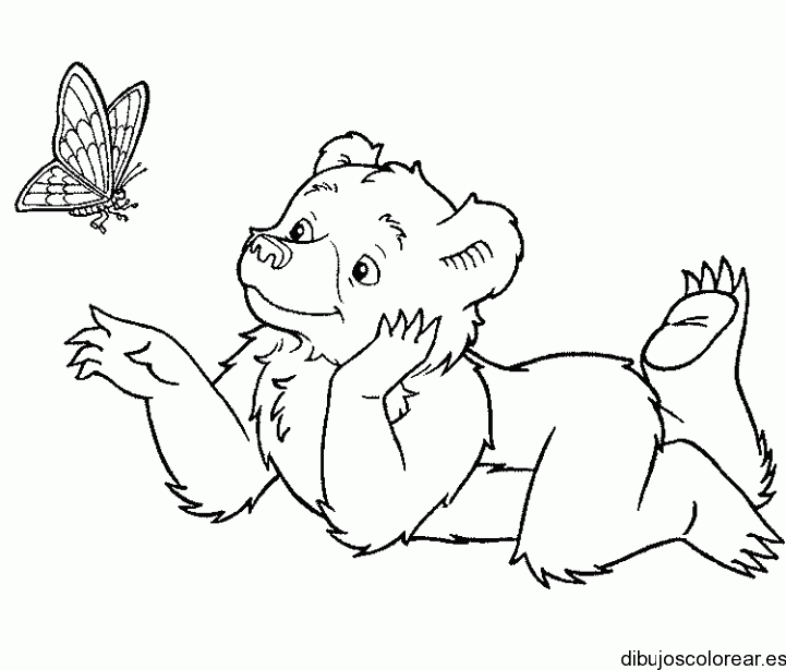 Dibujo de una osa con una mariposa