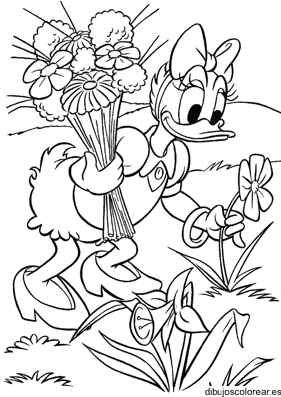 Dibujo de Daisy en el jardín en primavera