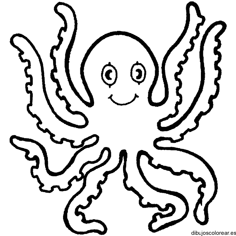 Dibujo de un pequeño pulpo