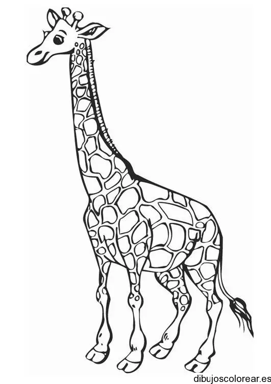 Dibujo de mamá jirafa