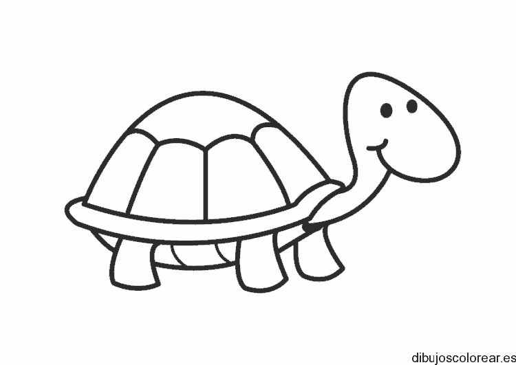 Dibujo de una tortuguita