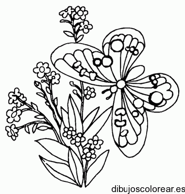 Dibujo de una mariposa con una flores