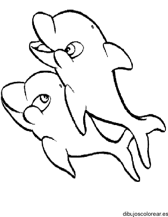 Dibujo de dos delfines