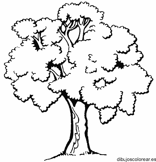 Dibujo de un árbol solitario