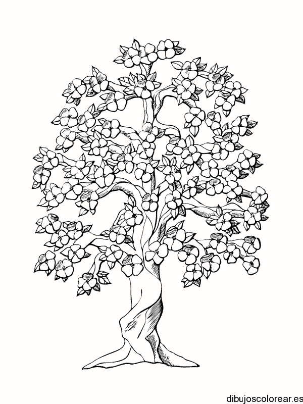 Dibujo de un árbol de cerezo
