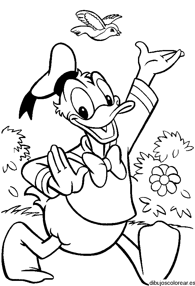 Dibujo del Pato Donald y un pájaro