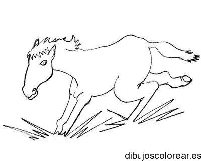 Dibujo de caballo pequeño