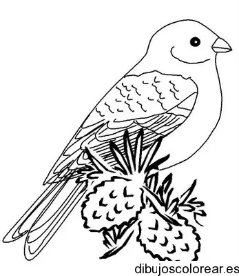 Dibujo de un loro sobre piñones