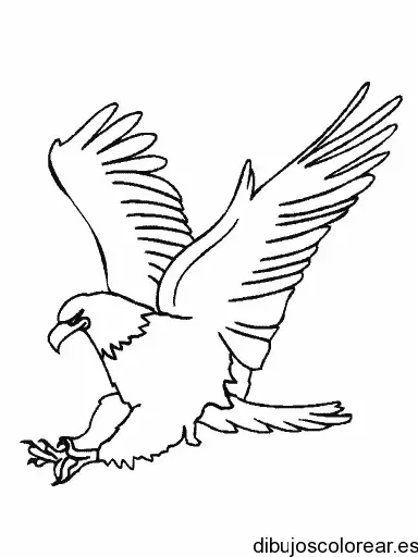 Dibujo de un águila descendiendo