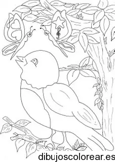 Dibujo de un gorrión y mariposas
