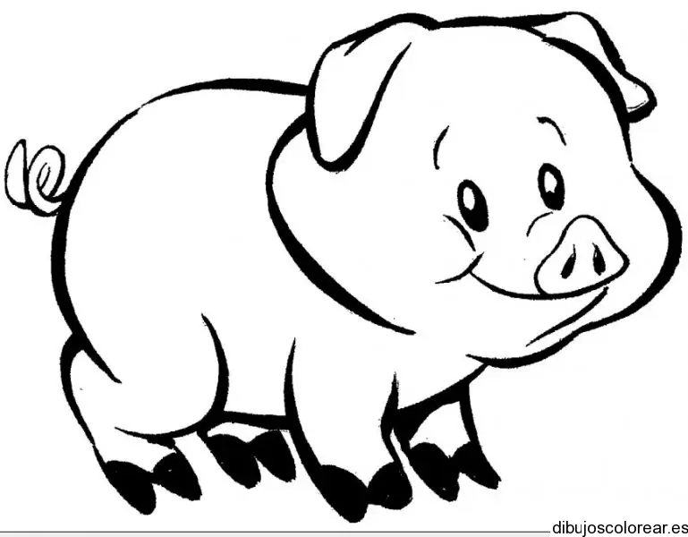 Dibujo de un pequeño cerdito