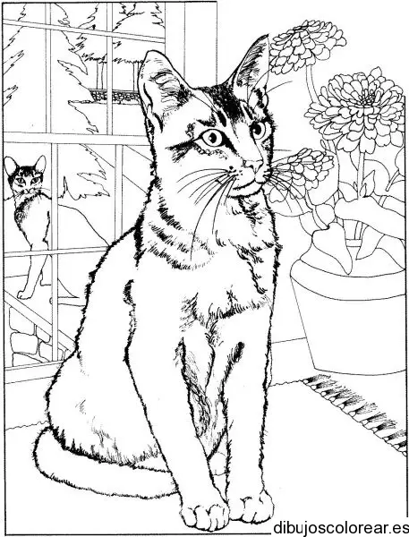 Dibujo de un gato y un jarrón