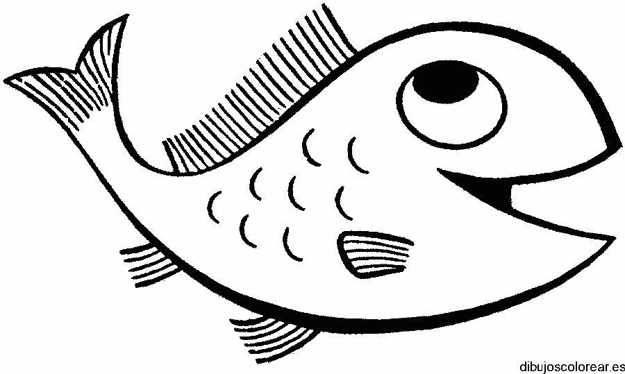 Dibujo de un gordo pececillo