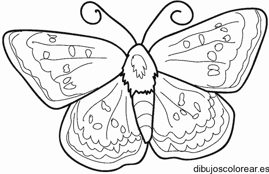 Dibujo de una mariposa con detalles
