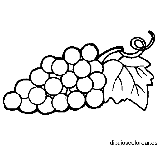 Dibujon de racimo de uvas
