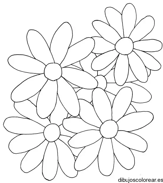 Dibujo de cuatro margaritas