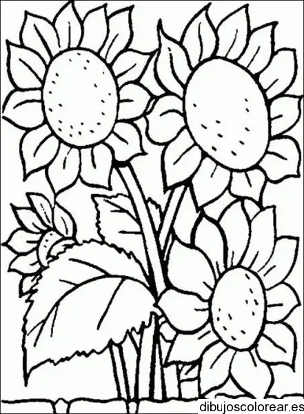 Dibujo de dos girasoles