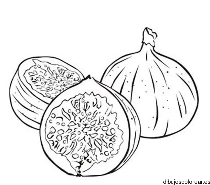 Dibujo de ajos