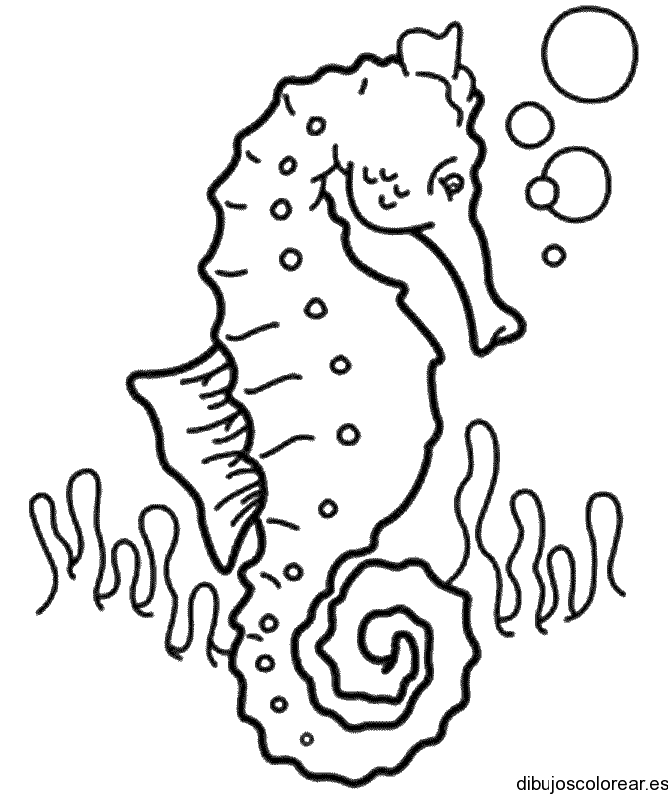 Dibujo de un caballito de mar con búrbujas
