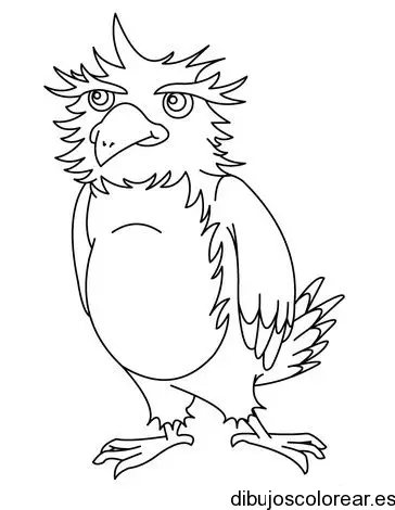 Dibujo de un loro en pie