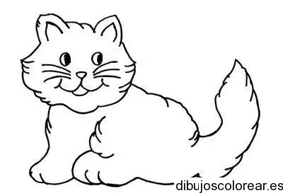 Dibujo de un felino sonriendo