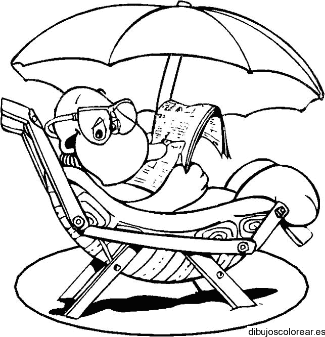 Dibujo de una tortuga leyendo