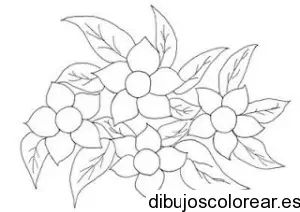 Dibujo de un grupo de flores 