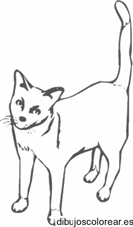 Dibujo de un perro asombrado