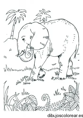 Dibujo de un elefante y dos palmera