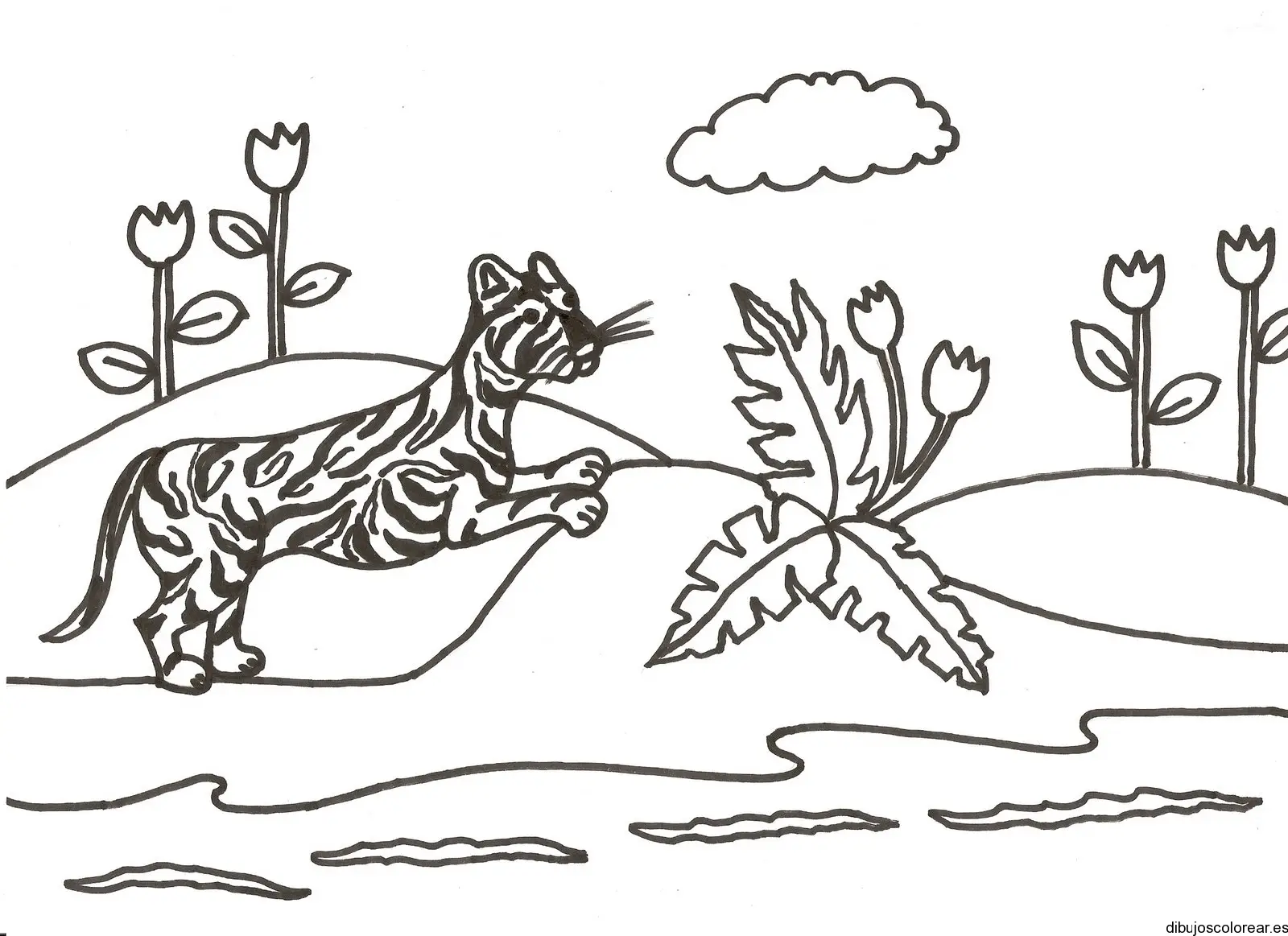 Dibujo de un tigre corriendo