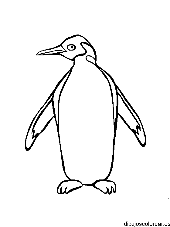 Dibujo de un pingüino