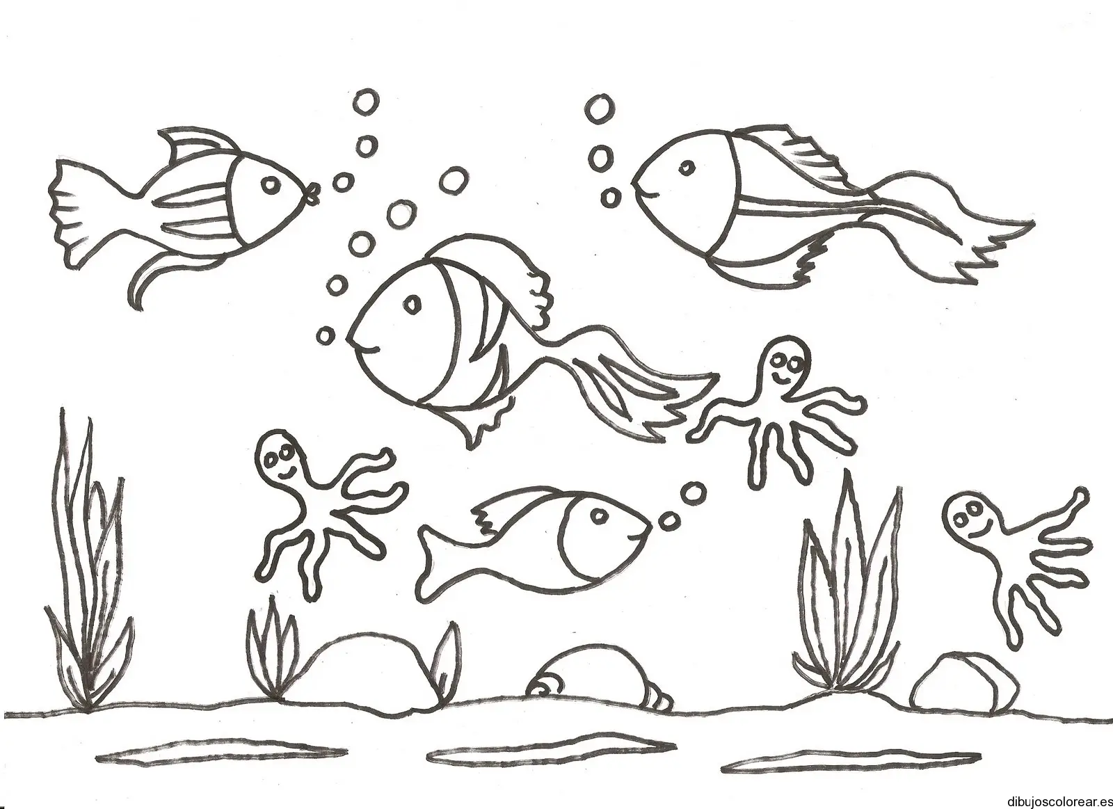 Dibujo de peces y pulpos