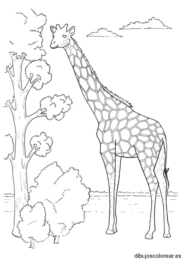 Dibujo de una jirafa y un árbol