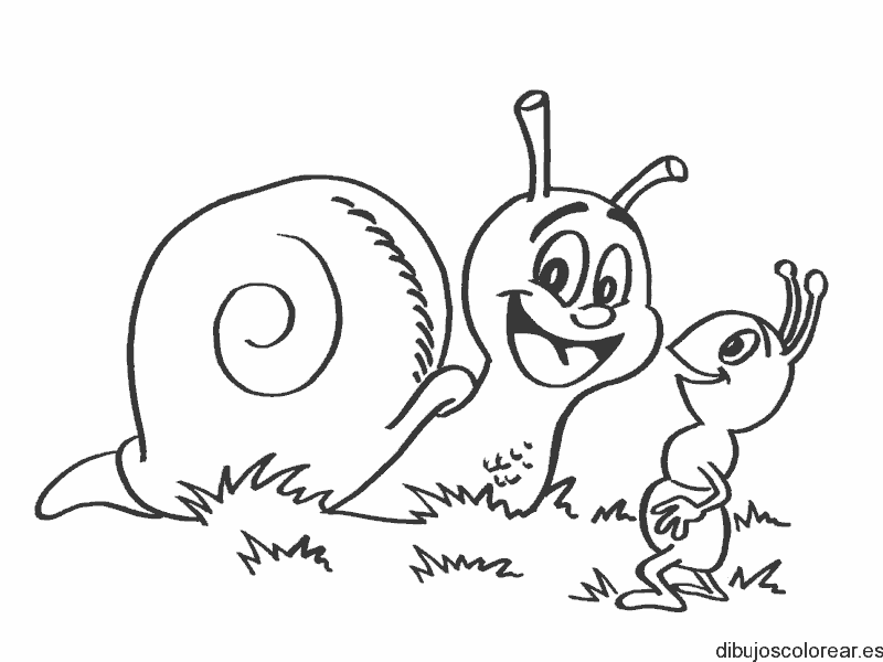 Dibujo de un caracol y una hormiga sonriendo