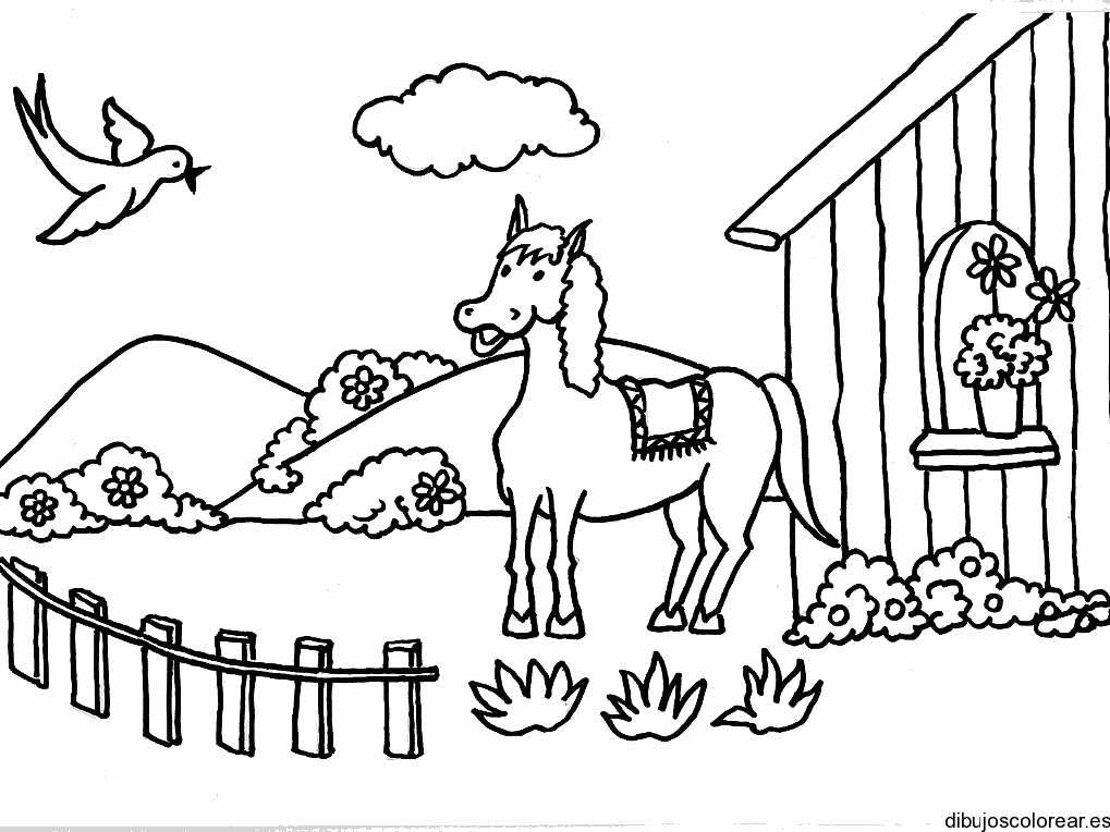 Dibujo de un pony en el patio