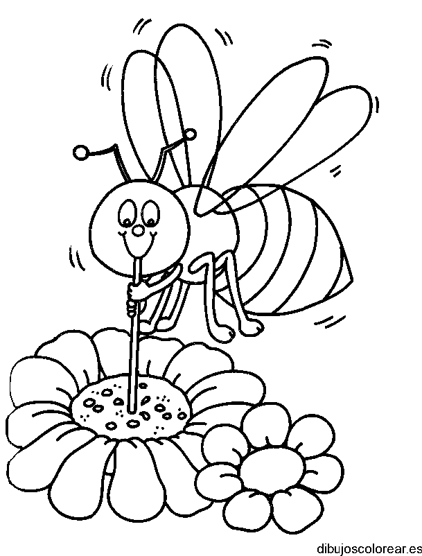 Dibujo de una abeja en una margarita