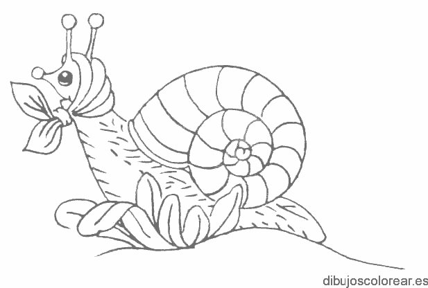 Dibujo de un caracol con pañuelo