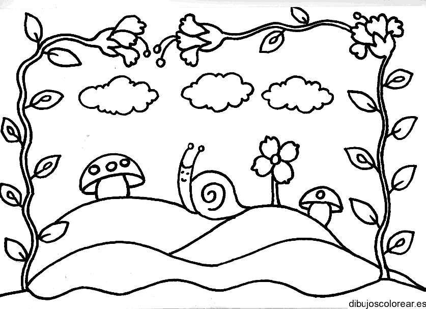 Dibujo de un caracol debajo de enredadera