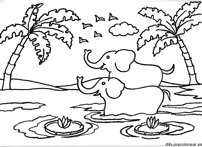 Dibujo de dos elefantes en un lago