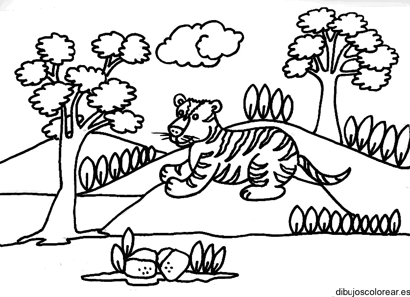 Dibujo de un tigre atrás de un árbol