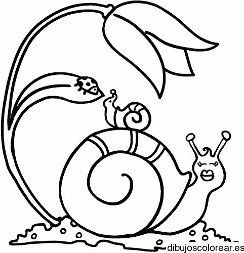 Dibujo de un caracol con su hijo