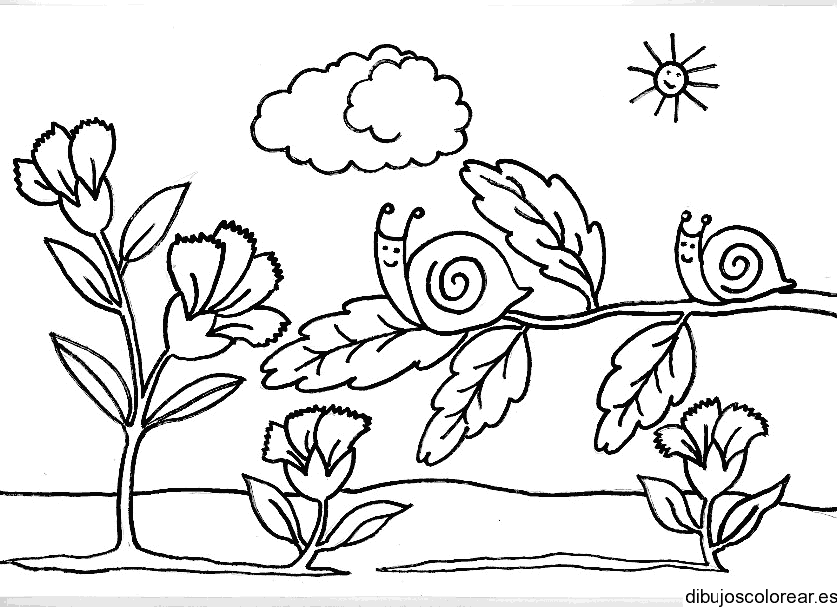 Dibujo de un caracol sobre una hoja