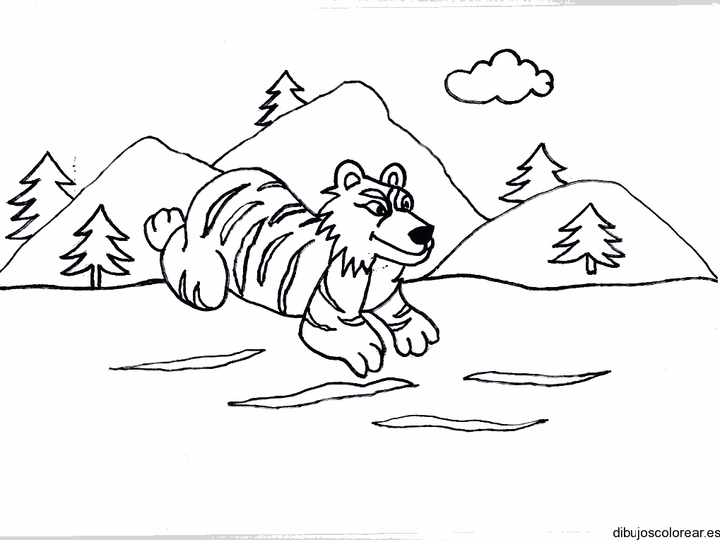 Dibujo de un tigre corriendo en las montañas