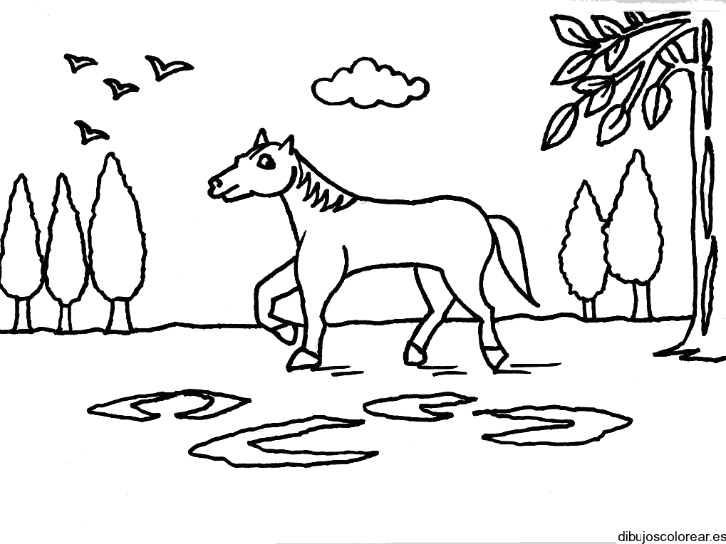 Dibujo de un caballo caminando