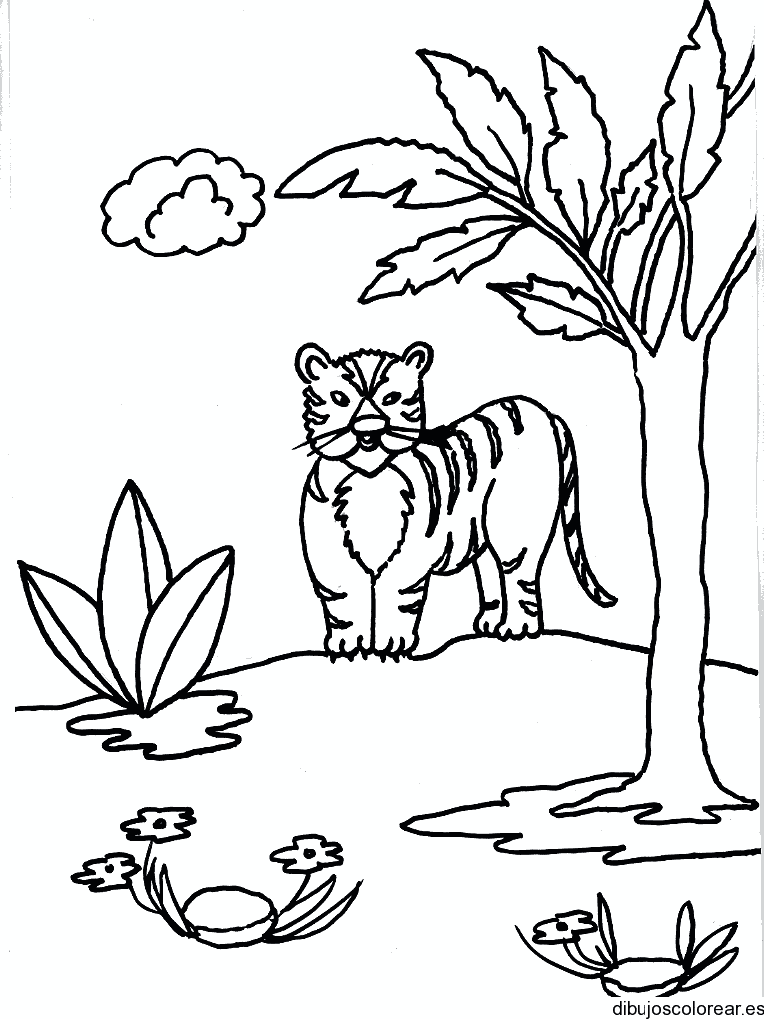 Dibujo de un tigre enojado